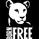 The Born Free Foundation Limited