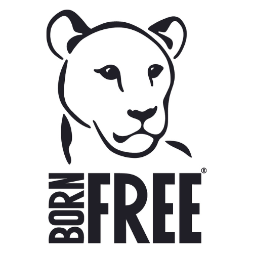 The Born Free Foundation Limited